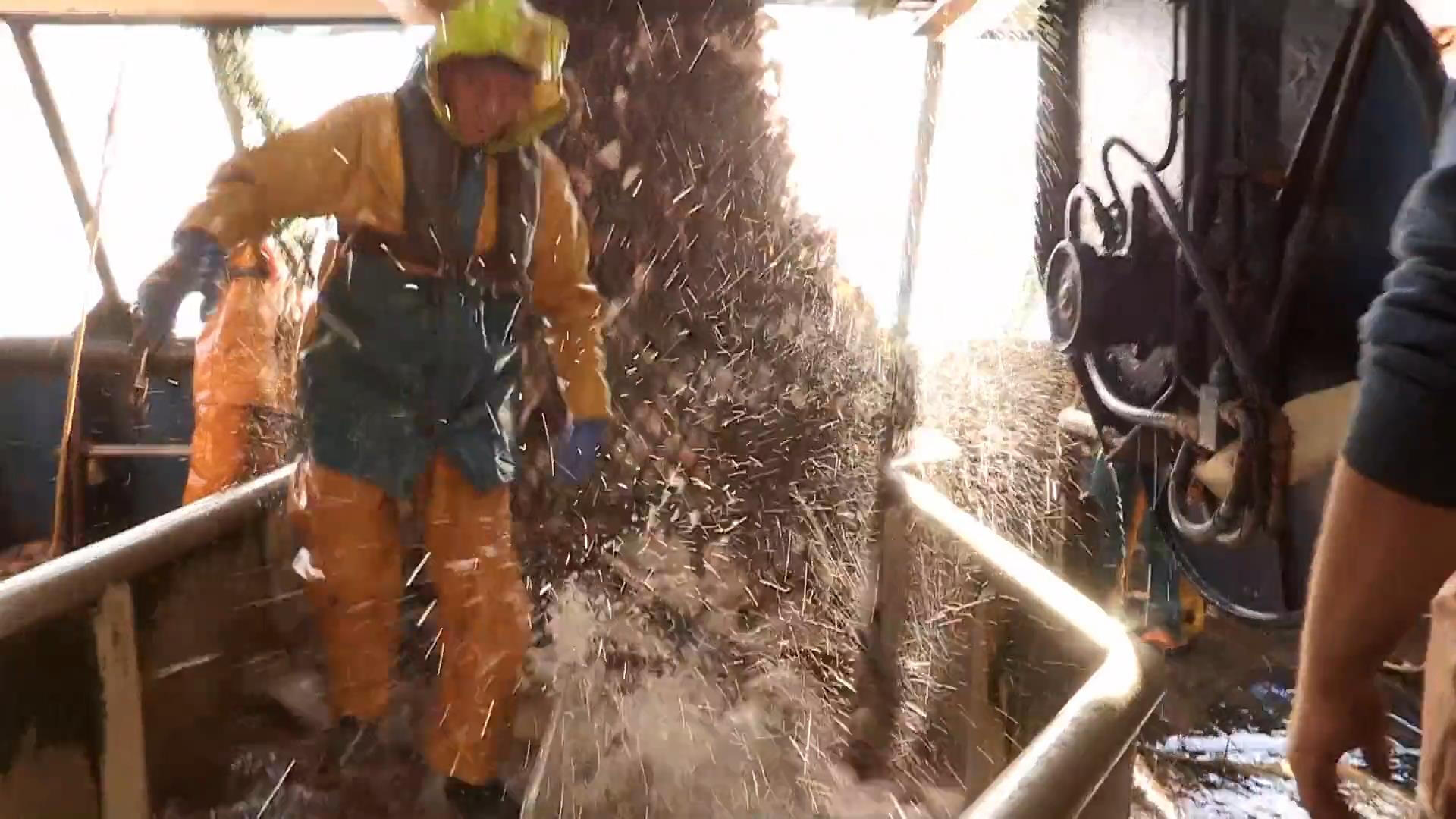 Amanda Brunker at Work - 4 x 1hr